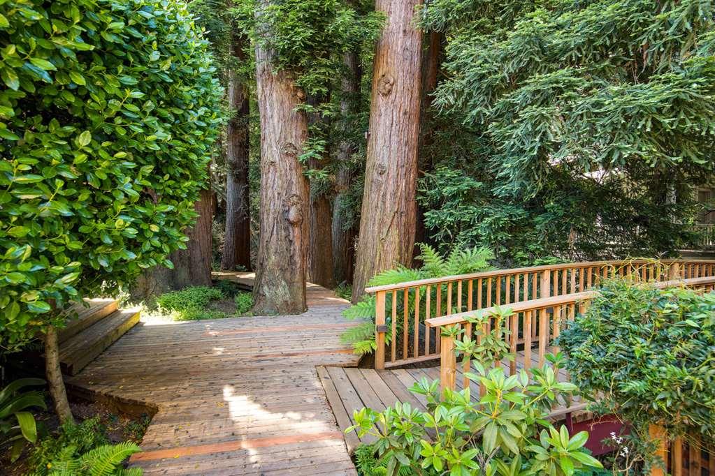 Mill Valley Inn Εξωτερικό φωτογραφία